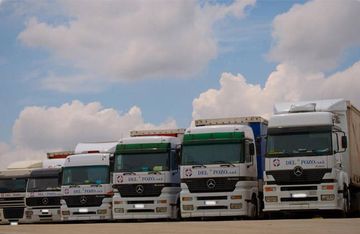 Imagen de la flota de camiones